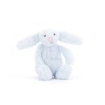 Bashful Blue Bunny