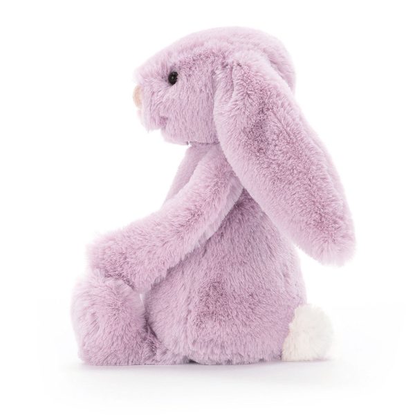 Bashful Lilac Bunny
