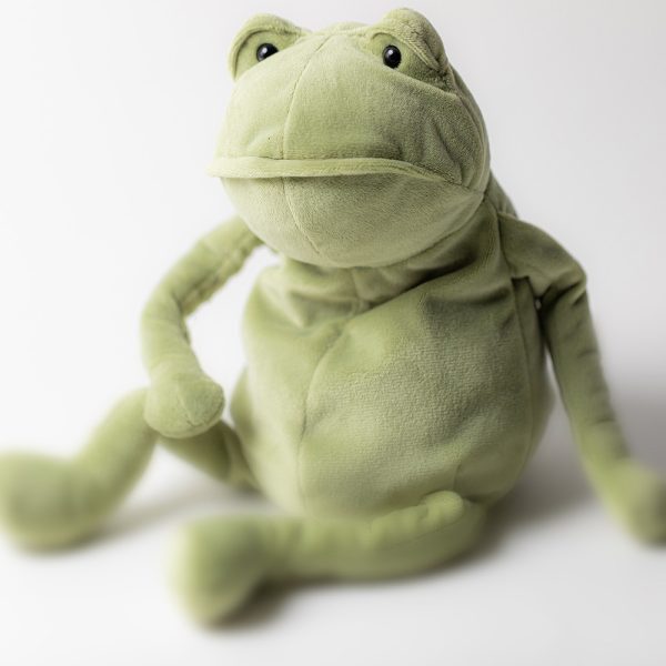 Fergus Frog