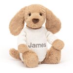 Bashful Toffee Puppy with Personalized Cream Jumper