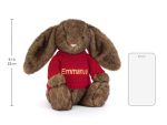 Hoppleston Luxe Bunny with Personalized Red Jumper