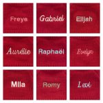 Bashful Toffee Puppy with Personalized Red Jumper