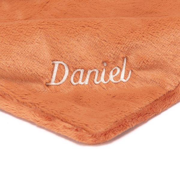 Personalized Bashful Fox Cub Blankie