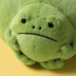 Ricky Rain Frog Pouch