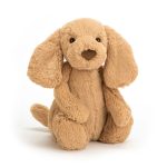 If I Were a Dog Board Book & Bashful Toffee Puppy Medium